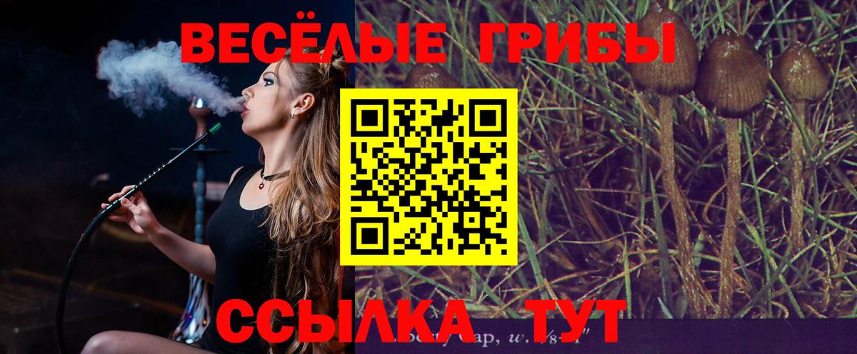 Псилоцибиновые грибы прущие грибы Ижевск